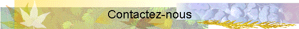 Contactez-nous