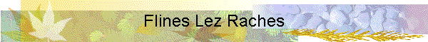 Flines Lez Raches