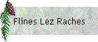Flines Lez Raches