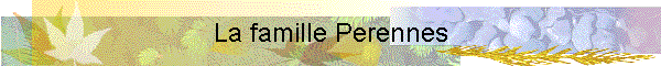 La famille Perennes