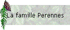 La famille Perennes