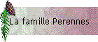 La famille Perennes